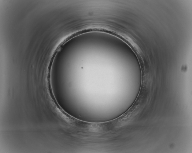 X0000097480799200802221351