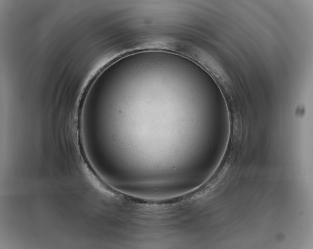 X0000097480800200802221351
