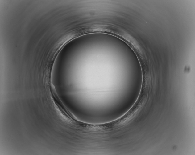 X0000097480801200802221351