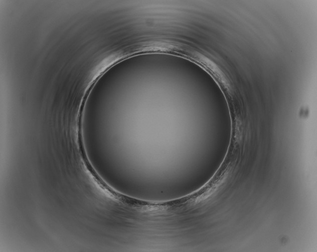 X0000097480802200802221351