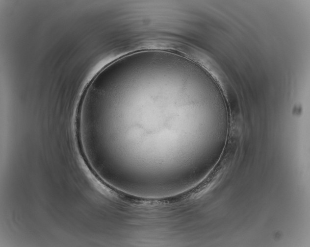 X0000097480803200802221351