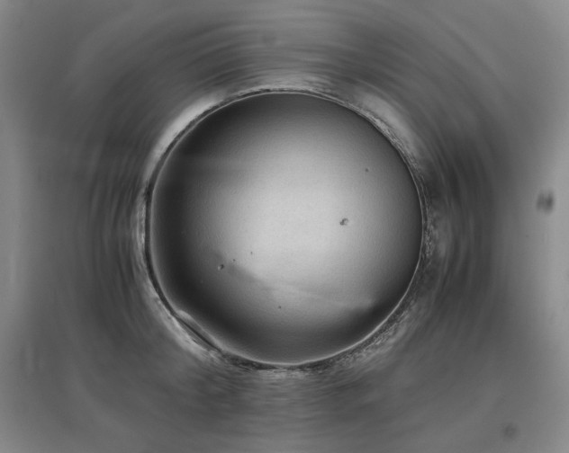 X0000097480804200802221351
