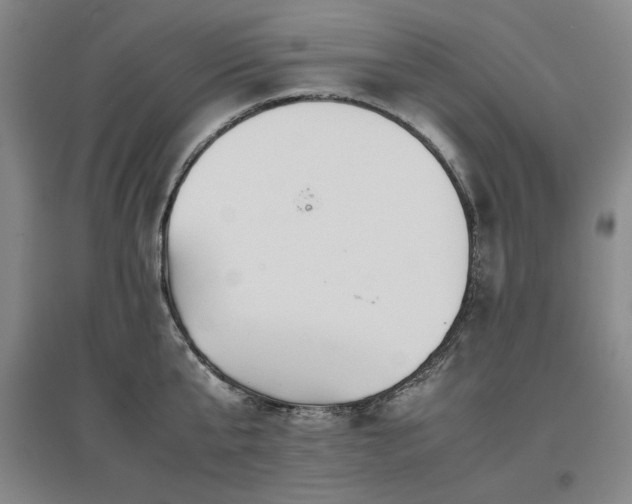 X0000097480807200802221350