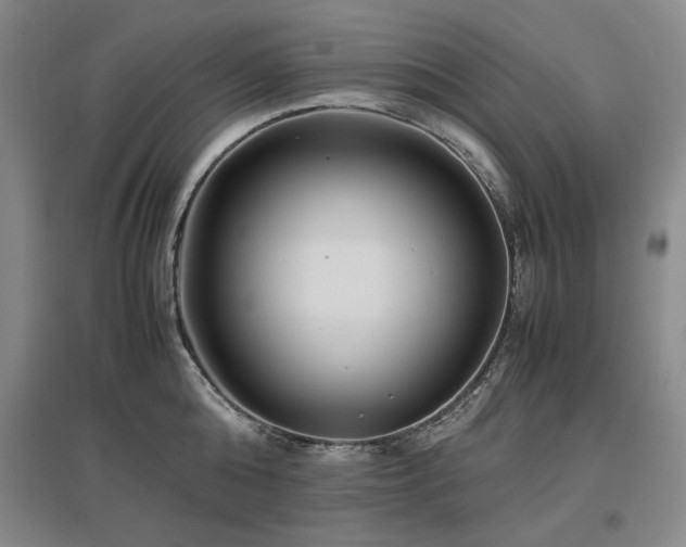 X0000097480808200802221350
