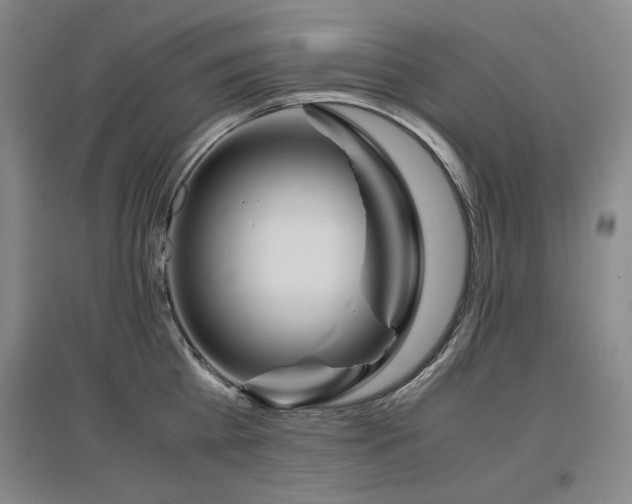 X0000097480809200802221350