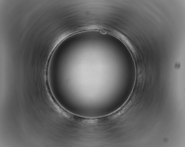 X0000097480810200802221350