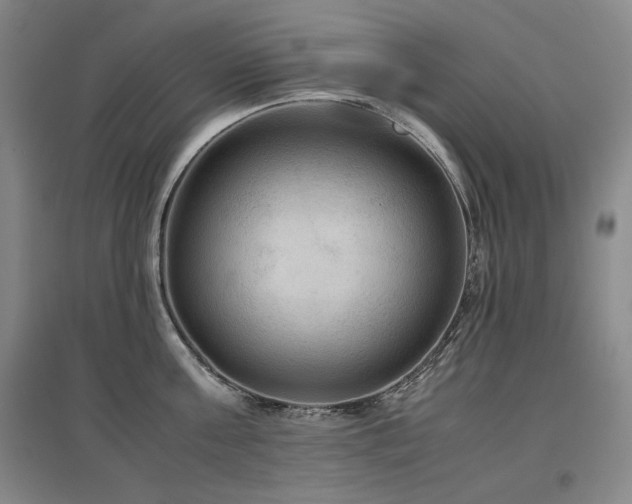X0000097480811200802221350