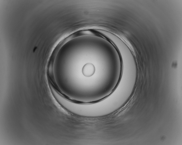 X0000097480813200802221350