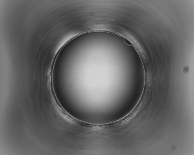 X0000097480814200802221350