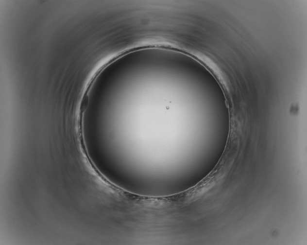 X0000097480815200802221350