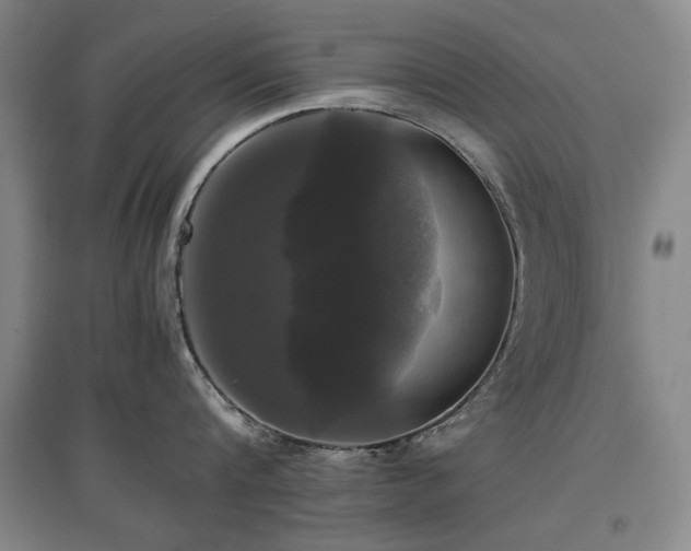 X0000097480816200802221350