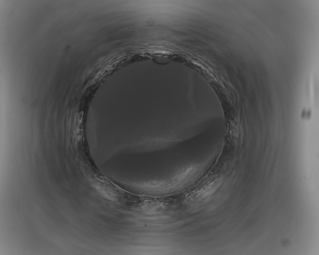 X0000097480818200802221350
