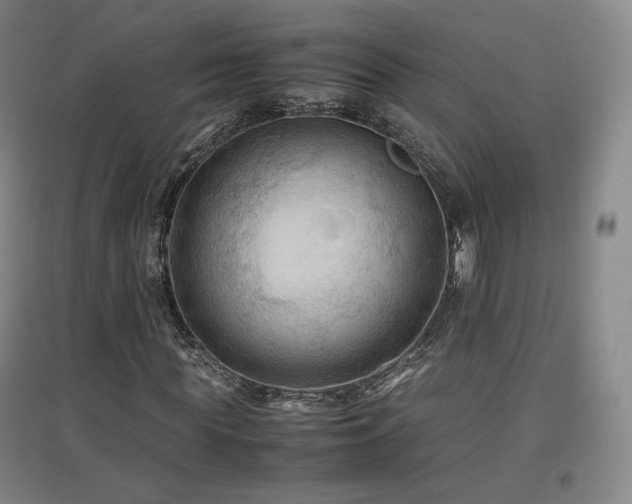 X0000097480819200802221350