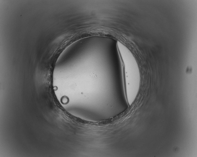 X0000097480820200802221350