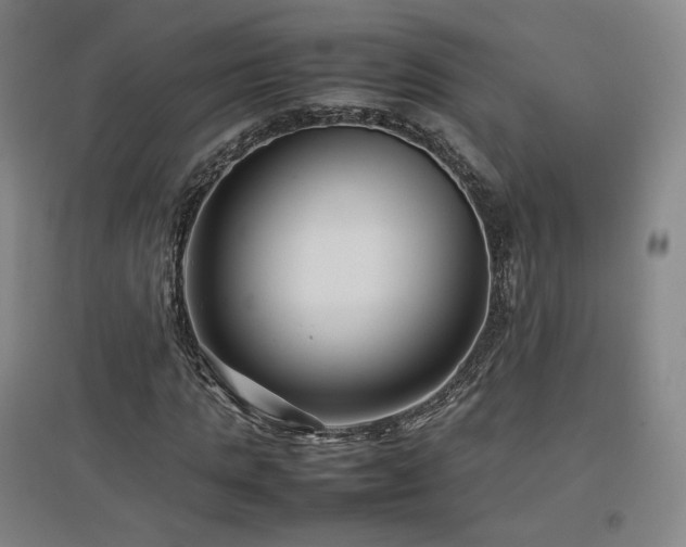 X0000097480821200802221350