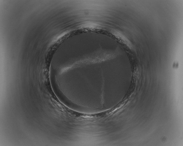 X0000097480822200802221350