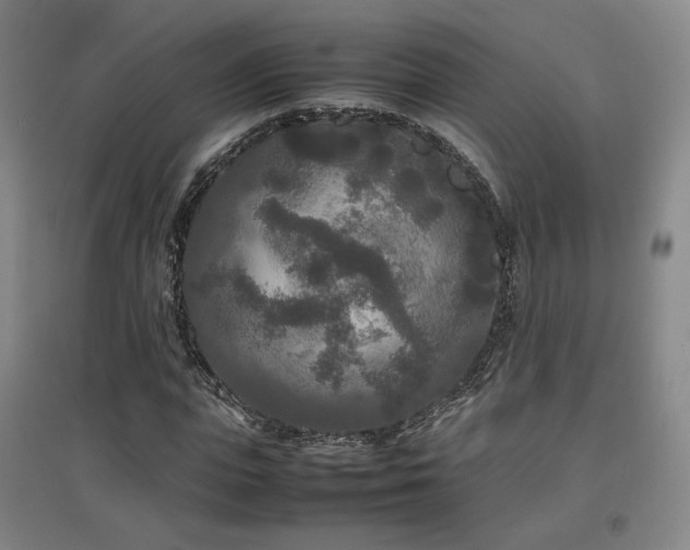 X0000097480823200802221350