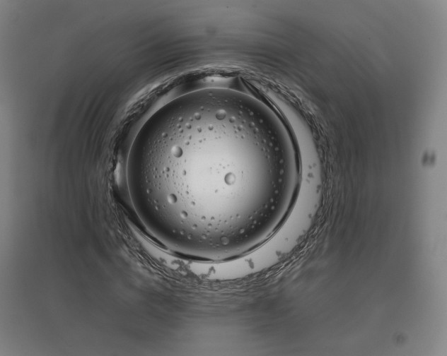 X0000097480824200802221350