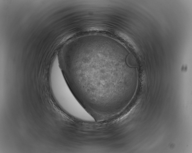 X0000097480825200802221350