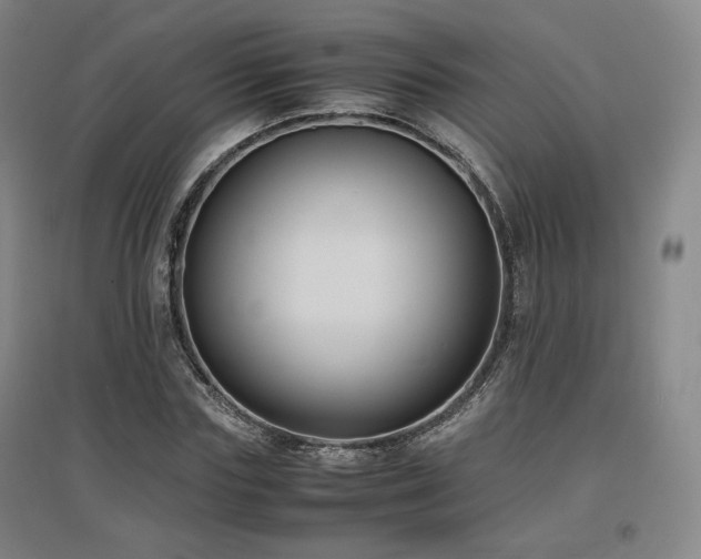 X0000097480827200802221350