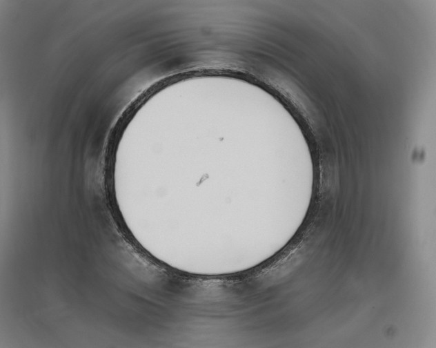X0000097480828200802221350