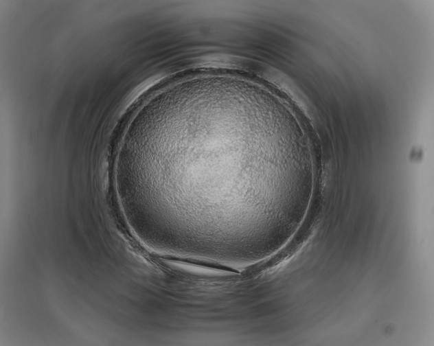 X0000097480829200802221350