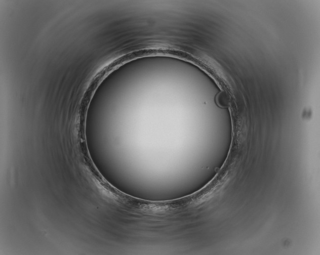 X0000097480831200802221350