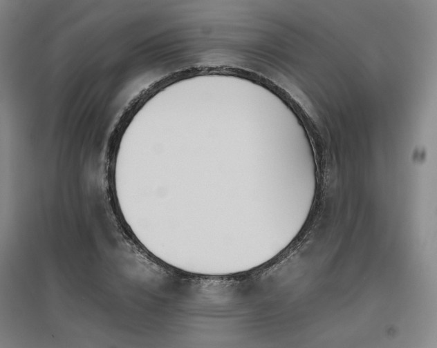X0000097480832200802221350