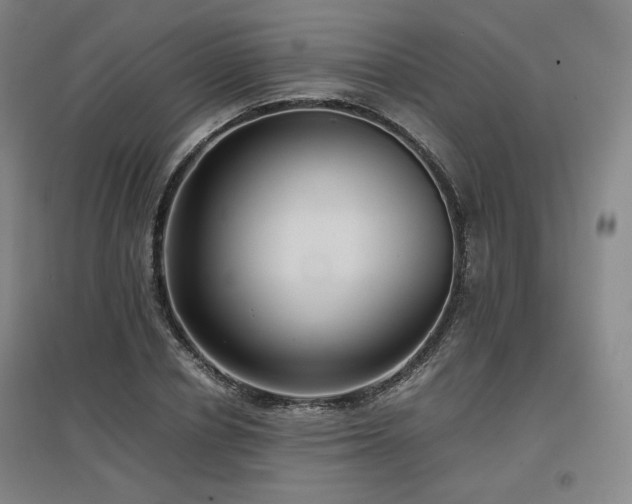 X0000097480834200802221350