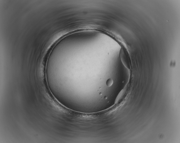 X0000097480835200802221350
