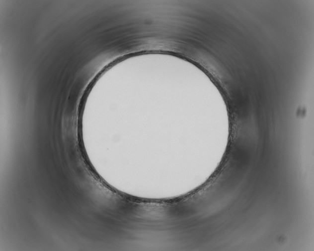 X0000097480836200802221350