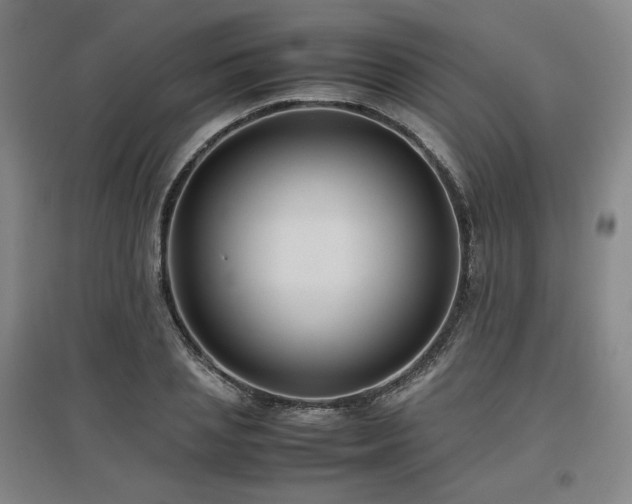 X0000097480837200802221350