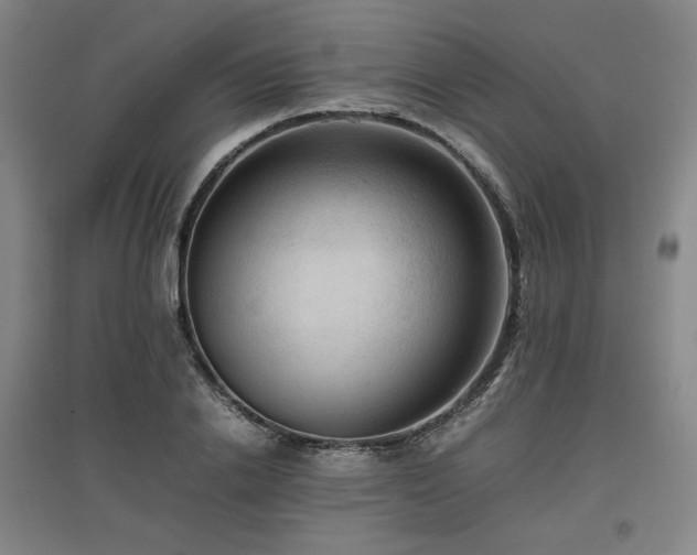 X0000097480838200802221350
