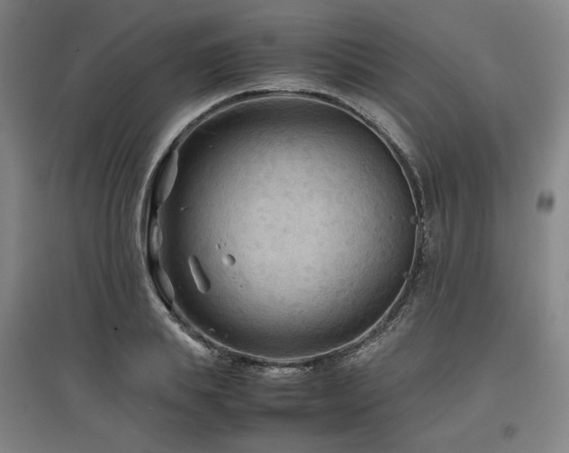 X0000097480839200802221350