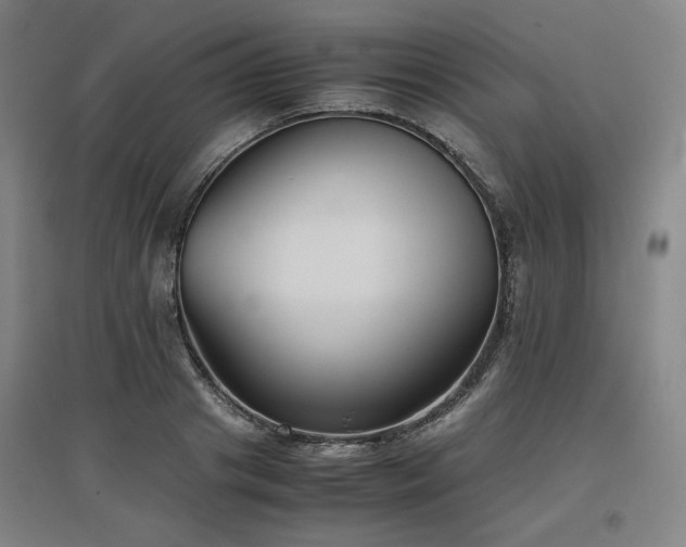X0000097480841200802221350