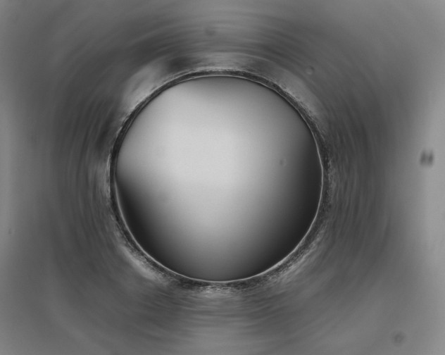 X0000097480842200802221350
