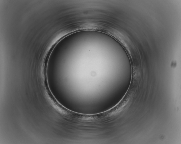 X0000097480843200802221350