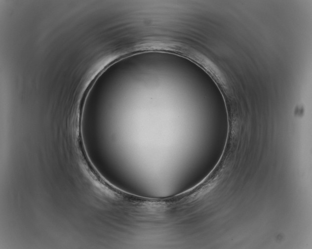 X0000097480844200802221350