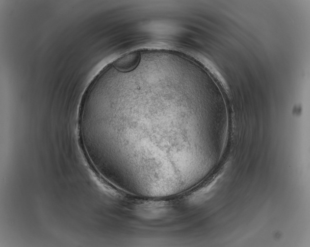 X0000097480845200802221350