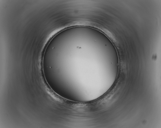 X0000097480846200802221350