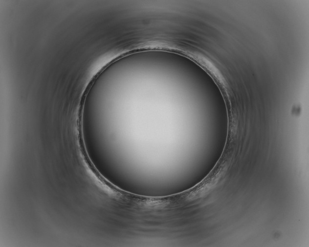 X0000097480847200802221350