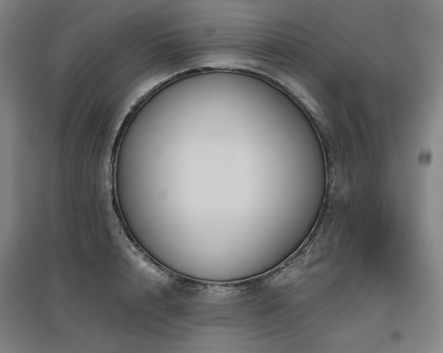 X0000097480848200802221350