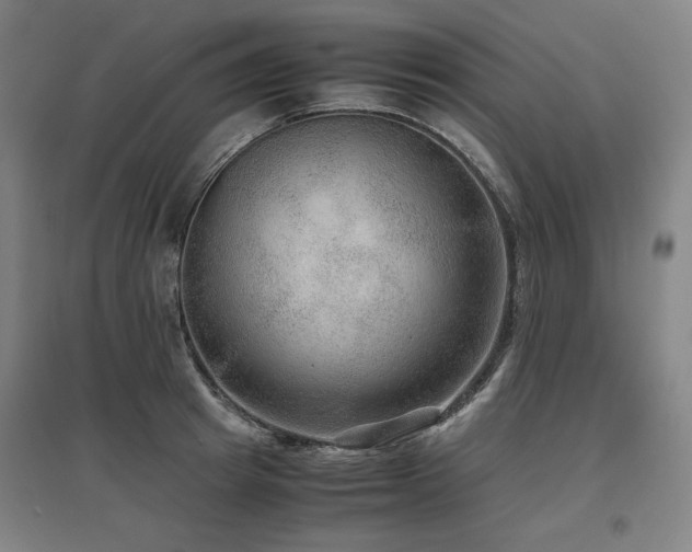 X0000097480849200802221350