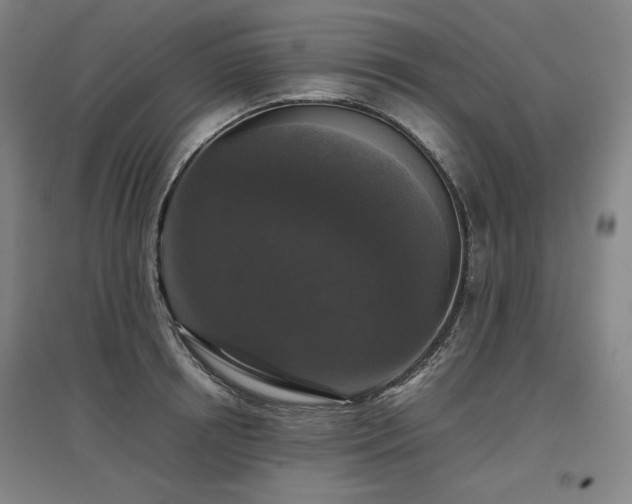 X0000097480850200802221350