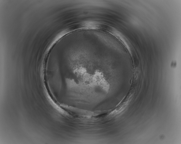 X0000097480851200802221350