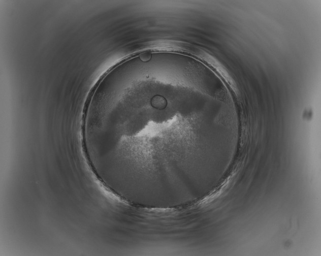 X0000097480853200802221350