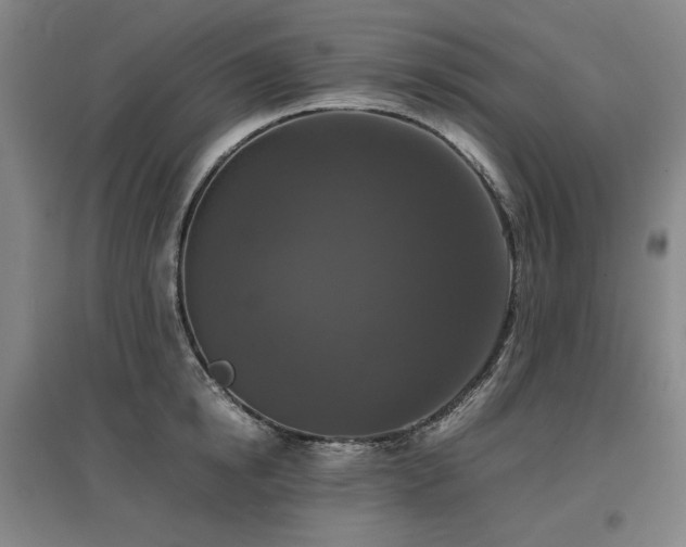 X0000097480854200802221350