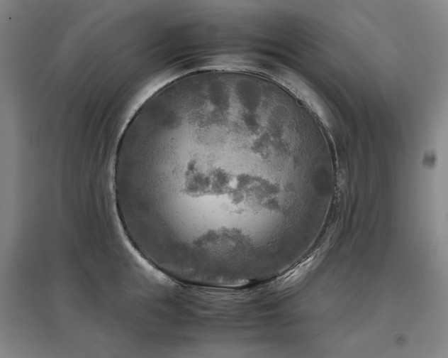 X0000097480855200802221350