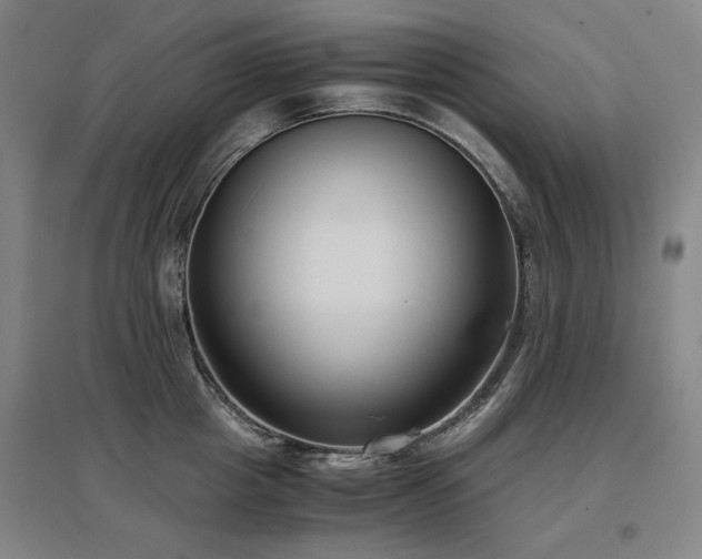 X0000097480857200802221350