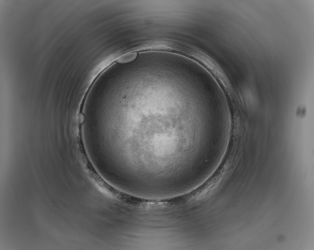 X0000097480858200802221350